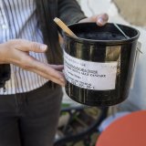 Les cantons traquent le moustique-tigre pour prévenir entre autres les transmissions du virus de la dengue ou du chikungunya (archives). KEYSTONE/MARTIAL TREZZINI